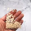 Arte de uñas flor de cinco pétalos joyería flor blanca pequeña bolsa mixta de tamaño de cuentas doradas y plateadas decoración de pegatina de uña de flor de resina venta al por mayor