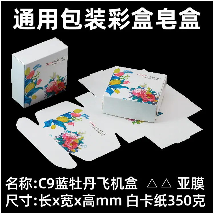 C系列-彩色飞机盒-名称1-06.jpg