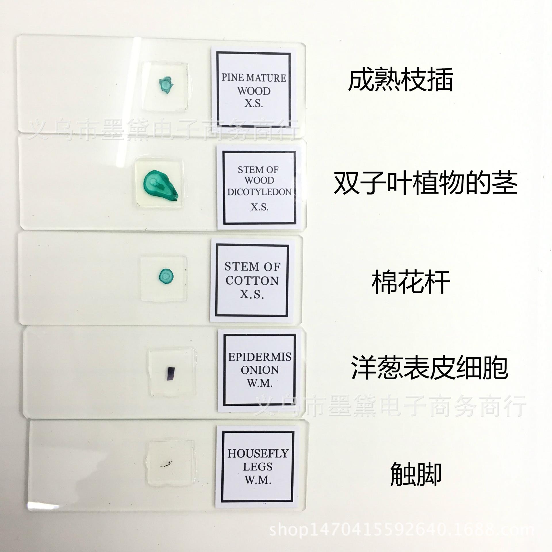 生物显微镜