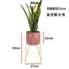 Sala de estar nórdica Maceta decorativa de hierro Estante de flores de pie Estante de almacenamiento interior Estante de flores para balcón Planta de interior Potos para el hogar
