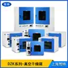 Horno de Vacío de Alta Temperatura Grande Vertical Secador de Vacío Shanghai Tite DZK-6090