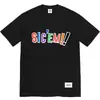 Camiseta de Algodón Puro de Estilo Europeo Transfronterizo, Tendencia Original 24Ss, Camiseta de Manga Corta con Estampado de Letras y Pintura en Spray Graffiti