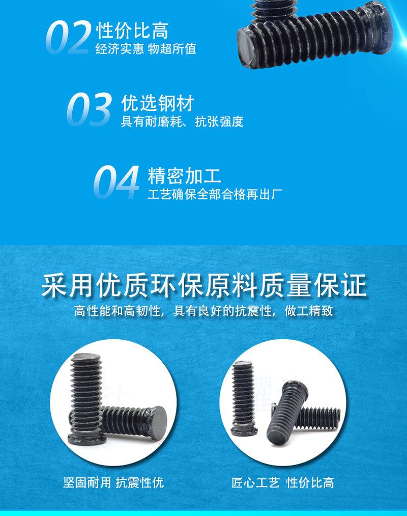 FHL黑锌压铆螺钉_03.jpg