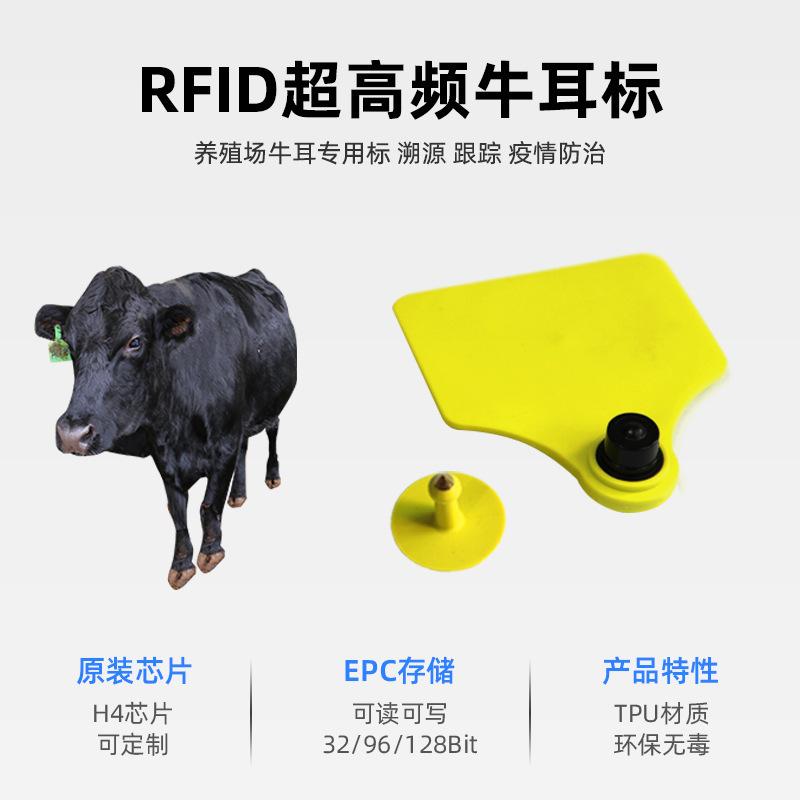 IMG_7920(20231208-160853)