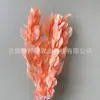 Arranjo de flores eternas folha laranja com ramos de folhagem, materiais florais DIY com toque de alta qualidade, atacado de fabricante de Yunnan, decoração de flores eternas