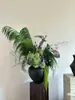Flores Verdes Eternas, Atmosfera de Primavera, Buquês para Loja, Decoração de Roupas Femininas, Materiais Florais de Galhos Secos, Cena de Arranjo Floral para Recepção