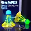 Pelota Nueva a Prueba de Viento para Exteriores, Pelota de Plástico Duradero para Entrenamiento, Irrompible, Luminosa, Alta Elasticidad, Resistente al Viento, Bádminton Luminoso