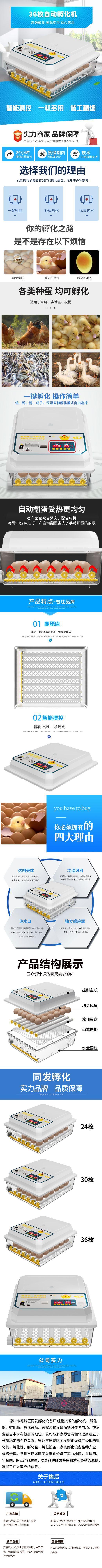 详情2.jpg