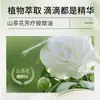 Procesamiento OEM Aceite de Masaje Aromaterapia Camelia Masaje de Hombros y Cuello Espalda Abierta Belleza en Casa Salón de Belleza Spa Masaje Aceite Esencial