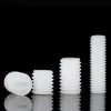 Parafusos Plásticos Sem Cabeça Atacado, Parafusos de Máquina de Nylon com Cabeça Chata, Parafusos de Fixação Plásticos Isolados com Ponta Chata