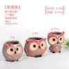 Maceta para pulgar suculenta mini mini maceta para pulgar maceta de cerámica para flores suculentas planta creativa flor pequeña Ma Long mesa Mai Tai Bao