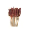 Brochetas pequeñas al por mayor para barbacoa de mercado nocturno, selección completa de brochetas calientes y frías, brochetas fritas, productos semiacabados, pollo Bobo y brochetas de cordero