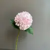 288 Peças Pirulitos de Cabeça Redonda Hortênsia Simulação Papel Adesivo Dupla Face Celebração de Casamento Props para Fotografia de Casamento em Casa