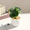 Flores Artificiais Produtos Transfronteiriços Plantas Verdes Simuladas Mini Bonsai Decoração para Casa Flores Artificiais Ornamentos de Interior Plantas Envasadas Simuladas