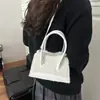 Bolso de Piel para Mujer 2026 Temporada de Verano Nuevo de Moda Bolso de Lana de Cordero Diseño Nicho Ballet para Mujer Bolso Cuadrado Pequeño Venta al por Mayor