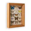 Porta-Retrato de Vidro Oco 2cm Tridimensional 4cm, Moldura Porta-Espécime Borboleta Preta High-End, Porta-Retrato Quadrado, Moldura de Exibição de Parede