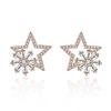 Pendientes Creativos Brillantes de Estrella Coreanos Aspecto Adelgazante Estilo Europeo y Americano Moda Pendientes Personalizados Pendientes de Flor Pendientes Accesorios para Mujer