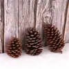 Piñas de Navidad Naturales de 3-15 cm y Adornos de Piñas, Coronas, Accesorios de Flores Secas para Manualidades de Árbol de Navidad, Decoraciones Navideñas