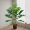 Planta verde de simulación, cola suelta, kwai grande, 18, decoración de plantas de interior europeas, paisaje exterior, hoja de hierro, fábrica al por mayor
