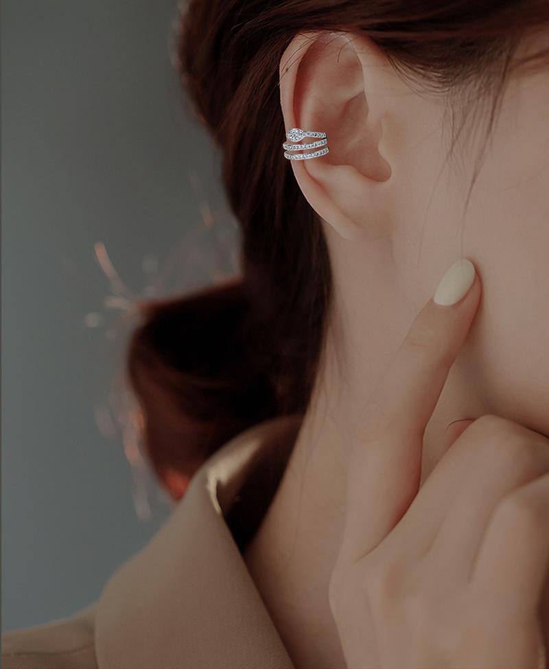 SE2100 (2).jpg