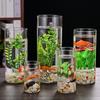 Vaso de Vidro Reto Atacado Transparente Redondo Hidropônico Minimalista Ornamento Arranjo de Flores Estilo Ins Alta Estética Decoração de Interior