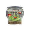 Acuario de PET personalizado, pecera transparente de oficina para tortugas, tanque ecológico pequeño de plástico irrompible y resistente a roturas para escritorio para paisajismo acuático