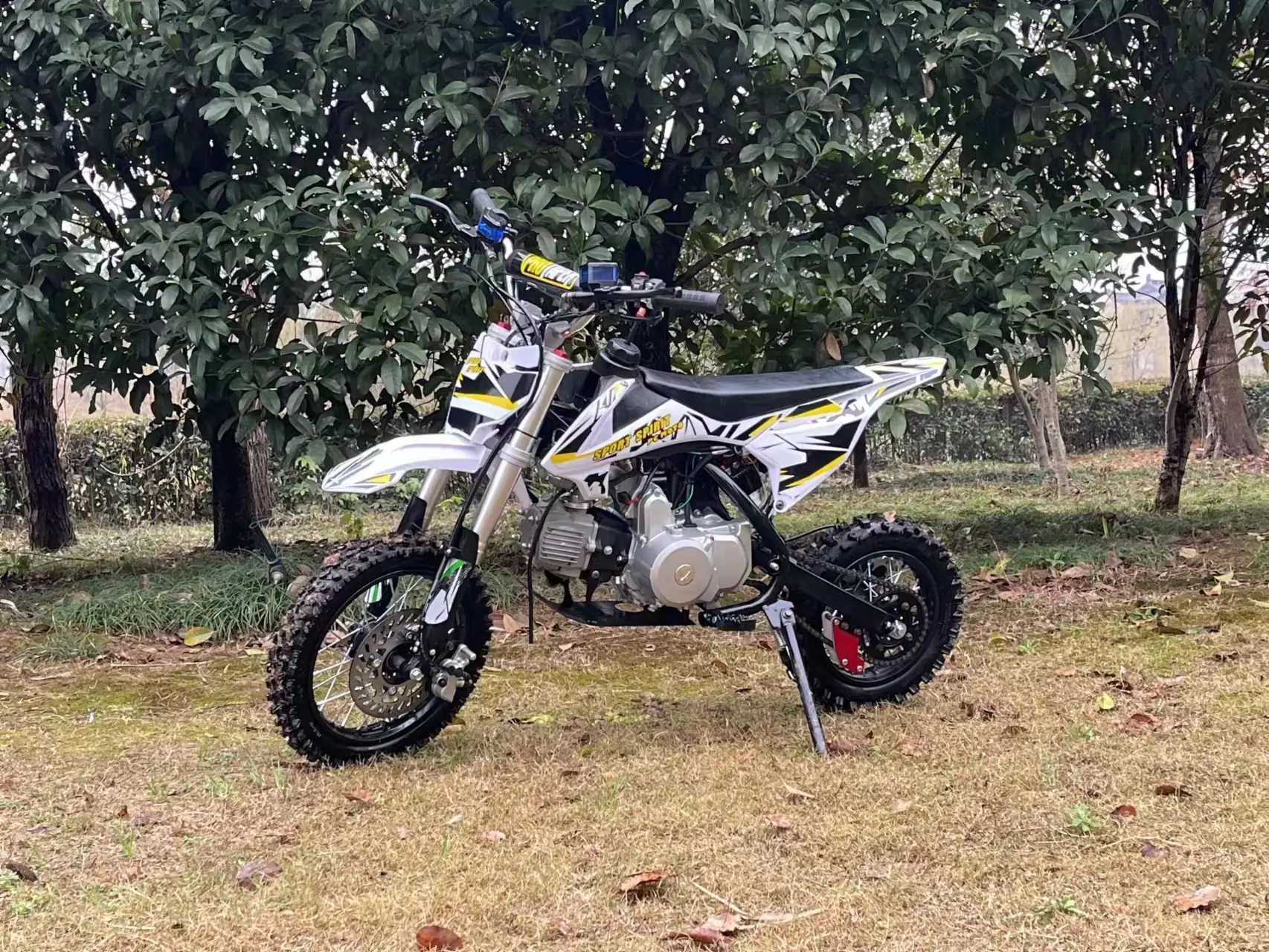 25