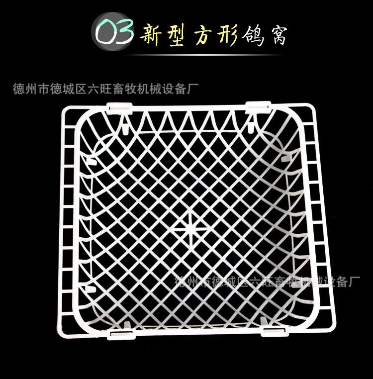 鸽窝详情_13