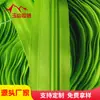 Atacado de fábrica Verde fluorescente nº 5 triciclo elétrico barraca de galpão zíper de código acessórios têxteis zíper de nylon