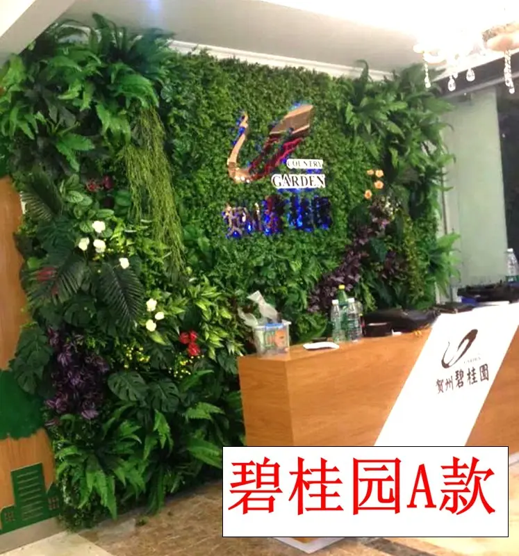 碧桂园A款.jpg