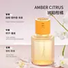Ambientador de Perfume para Coche, Fragancia de Larga Duración, Aromaterapia para Montar en el Coche, Fragancia Decorativa de Alta Gama para Hombres, Accesorios para Coche