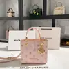 Nicho de Dropshipping Bolsos de Princesa Diana de Dibujos Animados Nuevo Estilo Primavera/Verano 2026 Bolsos de Mano de Gama Alta Al por Mayor