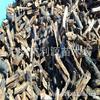 Tenemos grandes cantidades de leña de madera de azufaifo en stock durante todo el año.. La madera es dura y adecuada para calentar chimeneas, para árboles frutales y para cocinar pizza y bistec.