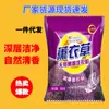 Pó de lavar lavanda saco 500g 1kg acessível bem-estar promocional atividades de presentes barraca fábrica atacado