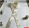 Cinta Atmósfera Romántica Color Sólido Goma para el Cabello Elegante Estrecha Larga Bufanda de Seda Temperamento de Alta Clase Suave Cinturón Diadema Retro Cinta