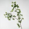 Planta verde de simulación de alta gama, hoja de Elemene de una sola rama, reloj colgante, hoja de Ma borracho, decoración del hogar, flores falsas, accesorios de fotografía, paisajismo