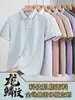 Camisa Polo de Viaje con Patrón de Escamas de Dragón Talla Grande Ropa de Trabajo Personalizada con Logo Impreso Camisa Publicitaria de Manga Corta Ropa de Trabajo Bordada Hecha a Medida