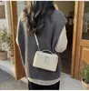 Bolso Pequeño Cuadrado de Diseño de Nicho de Moda Nueva Moda Tendencia Primavera 2026 Bolso de Hombro Cruzado Simple de Color Sólido para Viajes