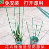 Soporte Retráctil de Tres Niveles para Plantas Trepadoras, para Rosas, Plantas de Pinza de Cangrejo y Cestas Verdes, Adecuado para Plantas Trepadoras de Balcón y Interiores