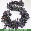 Decoración de Hojas de Potos de Mimbre Sintético Cubierta Falsa Plantas Verdes Embellecer Flor de Enredadera Cubierta de Conducto de Tubería de Agua Aire Acondicionado Hojas Verdes Flores