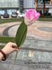 Nova simulação branca tulipa comércio exterior médio tulipa rosa decoração de casa de casamento flores falsas atacado