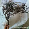 El paisajismo de troncos de acuario utiliza raíz de rododendro, teca morada, plantas acuáticas y tocones de árboles para crear una escena natural para que los reptiles trepen y se posen.