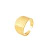 Anillo abierto retro europeo y americano de acero de titanio, forma hueca, tamaño promedio, ajustable, galvanoplastia, retención de color, anillo impermeable.
