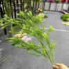 Nova Melaleuca Ouro Simulação Flor Decoração de Casamento Arranjo de Flores Novo Estilo Chinês Mori Estilo Fresco Verde Planta Outono Material Da Folha