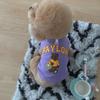 Cachorro Grande Labrador Golden Retriever Pet Outono e Inverno Corgi Urso Cachorro Gato Roupas Suprimentos para Cachorro Moletom Fino de Veludo