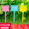Maceta plástico suculenta etiqueta de jardinería tarjeta de jardinería letrero planta suculenta placa de marca tarjeta pequeña tarjeta de flor
