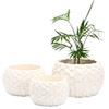 Vaso de Flores Simples Branco Estilo Europeu Grande Quadrado Texturizado Vaso Especial Hidropônico para Planta Verde Decoração de Interior Transfronteiriça