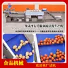 Escova Paralela de Frutas e Vegetais Rolo Vortex Linha de Produção de Limpeza Equipamento de Limpeza Linha de Produção de Limpeza de Frutas Escova