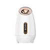 Novo quente e frio Spray Rosto Steamer Facial Ion Pulverizador Hidratante Doméstico Herbal Aromaterapia Beleza Face Steamer