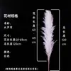 Caña Larga Vietnamita Flor Seca de Yunnan Ramo Decoración Esponjoso Fotografía de Boda Del Suelo al Techo Paisajismo Flor Inmortal Natural